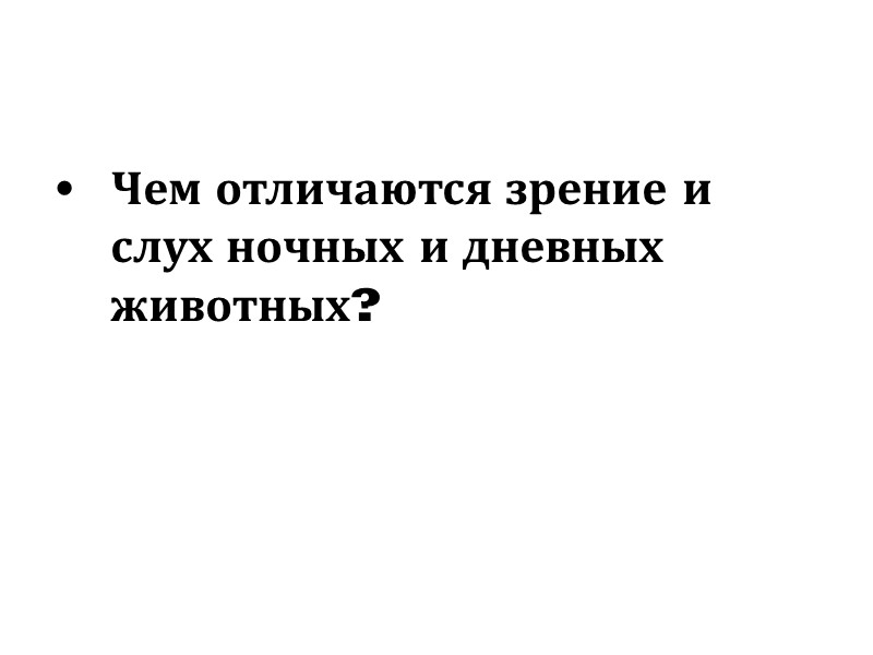 Чем отличаются зрение и слух ночных и дневных животных?